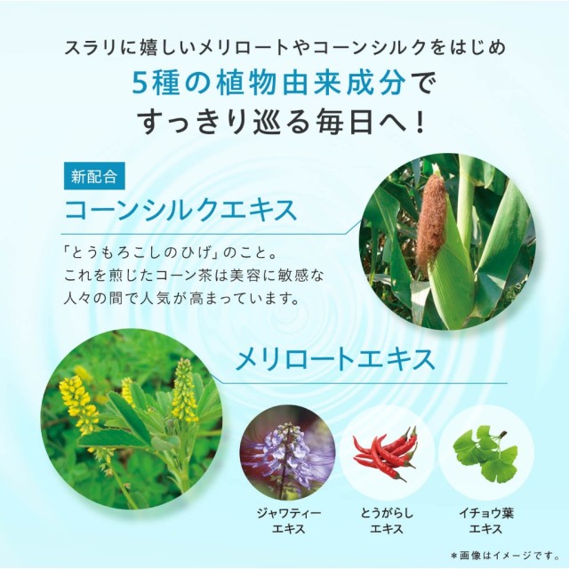 日本 DHC 黃香草木樨Plus 纖體修身丸 20日份/40粒