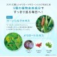 日本 DHC 黃香草木樨Plus 纖體修身丸 20日份/40粒