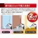 日本 fumakila 強效滅螞蟻噴霧(室內外兼用) 60回分