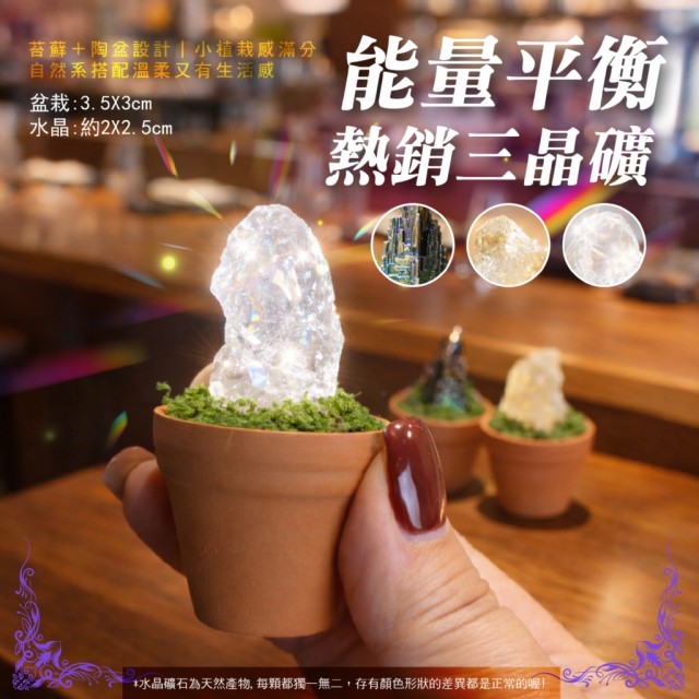 極可愛の萌石日常💓能量滿滿 天然水晶迷你盆栽