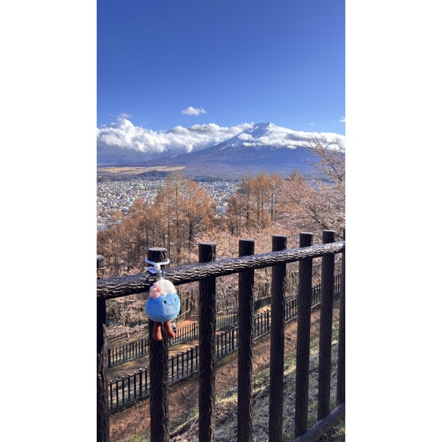 萌到爆!!🗻日本富士山限定 Jellycat風格 超可愛櫻花富士山娃娃