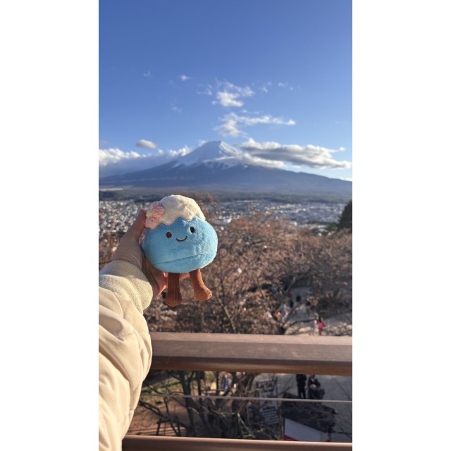 萌到爆!!🗻日本富士山限定 Jellycat風格 超可愛櫻花富士山娃娃