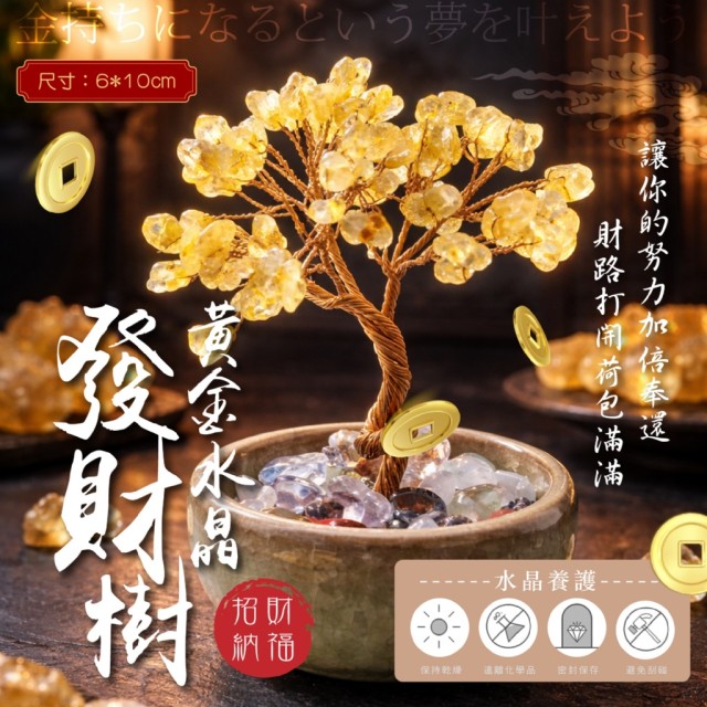 money滾滾來~🌳黃金水晶發財樹