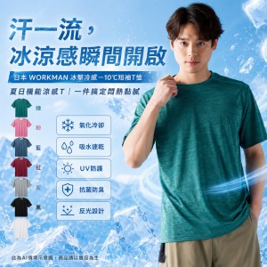 【🎌限時連線】🧊日本 WORKMAN 冰擊冷感－10℃短袖T恤