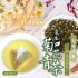 【晨一鮮食】降溫去暑氣 天然清香 冷泡也🉑 氧生菊花青茶 3g*30入