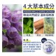 天然萬用的草藥 神奇紫草膏15g